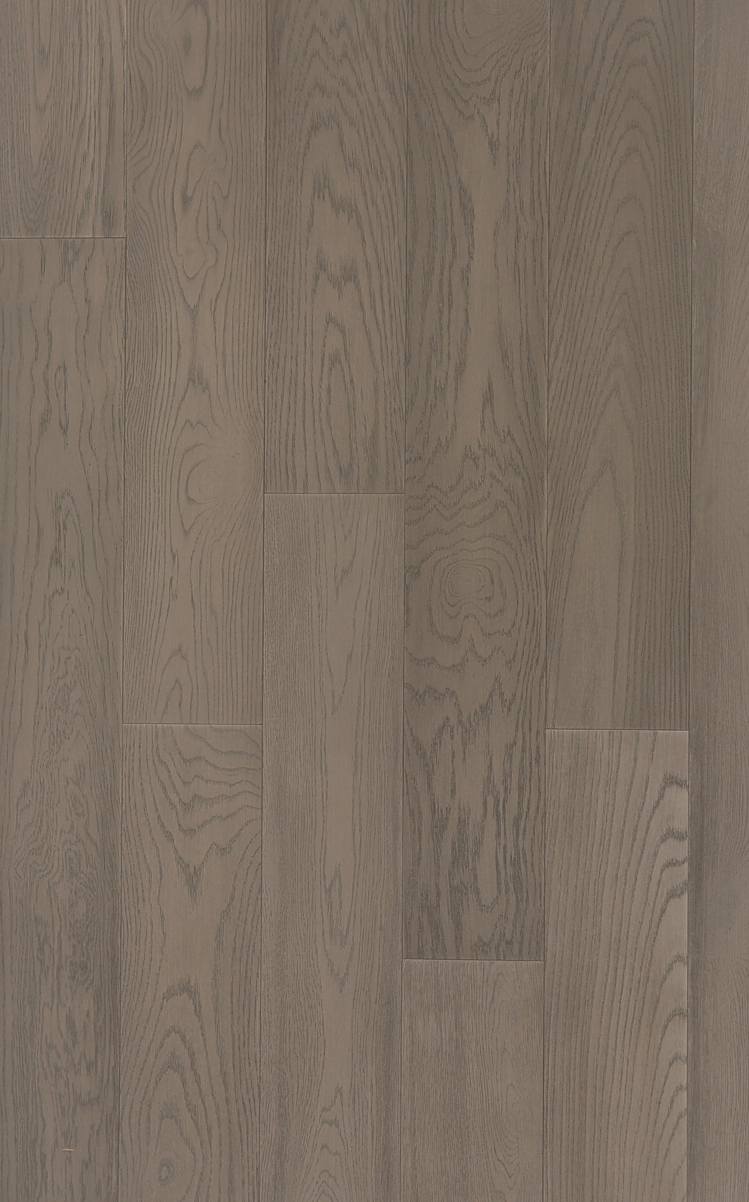 Grandeur Scandinavia Euro Oak Bora Bora 6 1/2" x 3/4" (18mm)