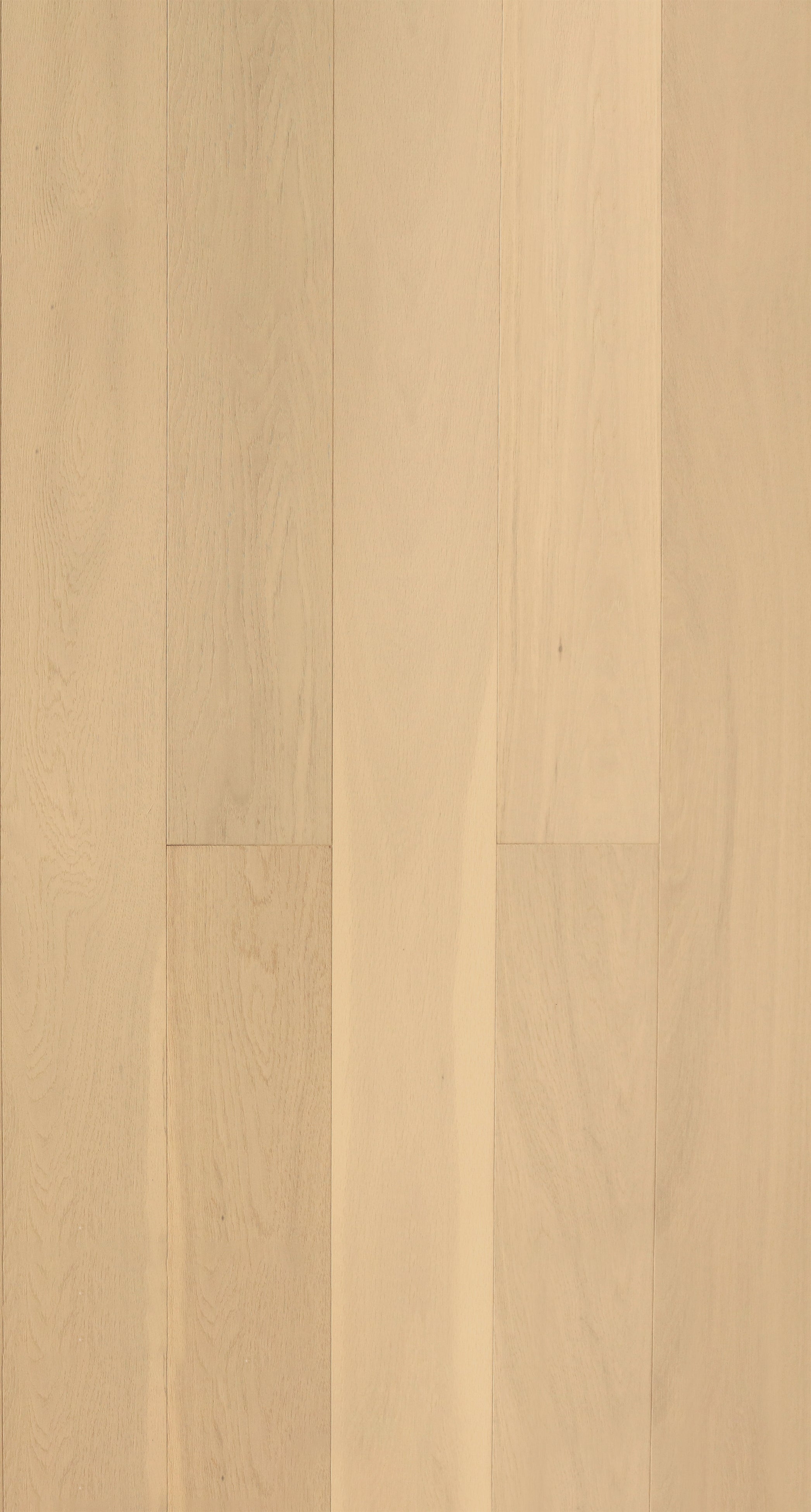 Grandeur Scandinavia Euro Oak White Island 6 1/2" x 3/4" AB Grade (18mm)